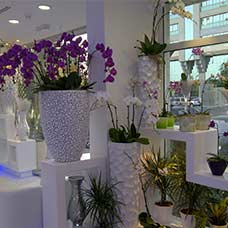 OUR SHOP