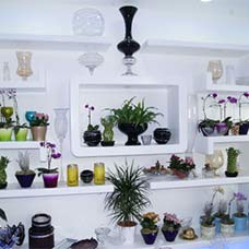 shop